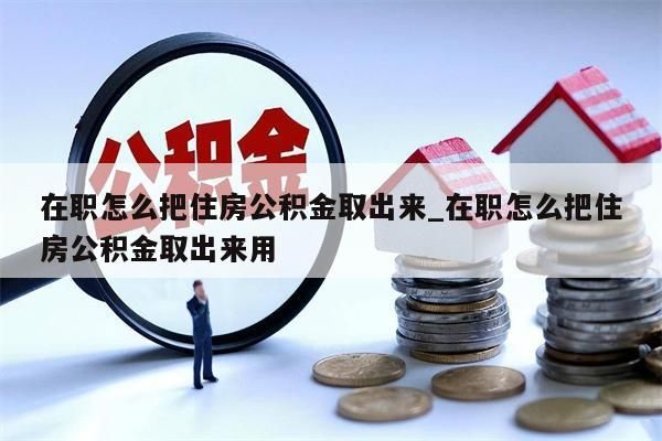 在职怎么把住房公积金取出来_在职怎么把住房公积金取出来用