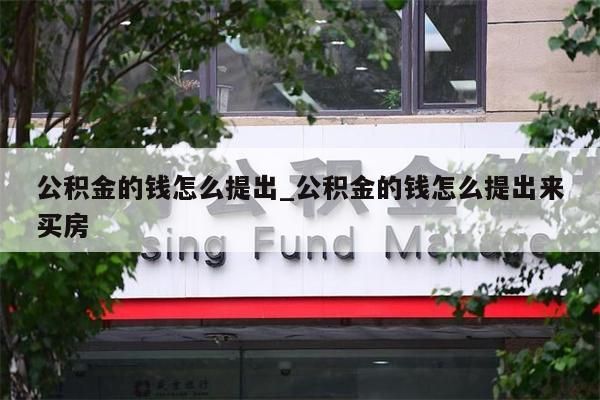 公积金的钱怎么提出_公积金的钱怎么提出来买房